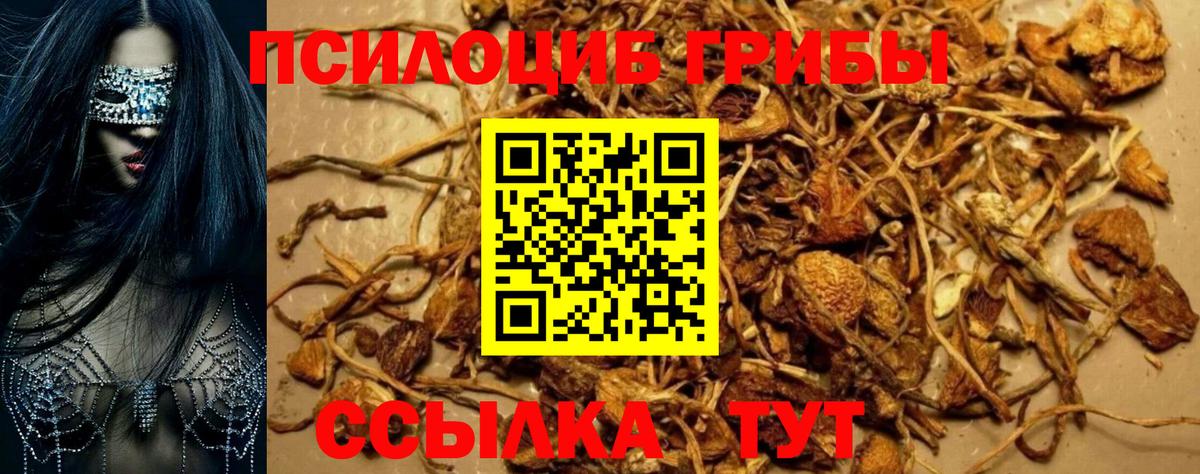 Кириши  Псилоцибиновые грибы мухоморы  Вход с VPN 